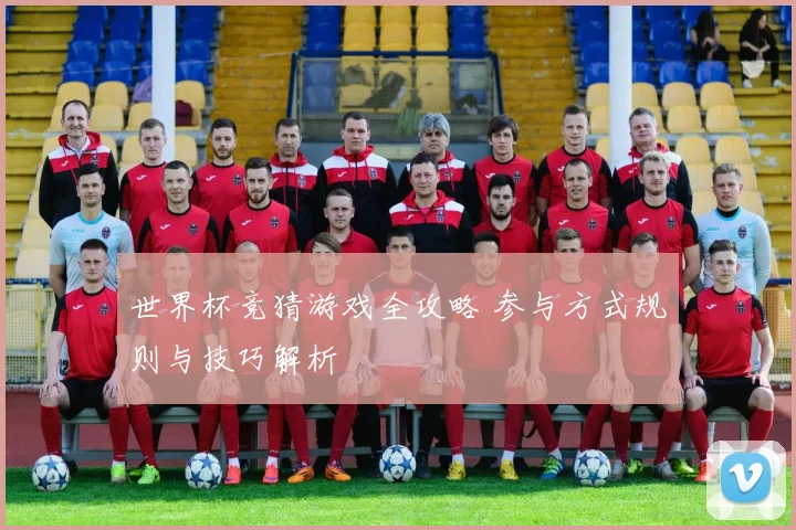 世界杯竞猜游戏全攻略 参与方式规则与技巧解析