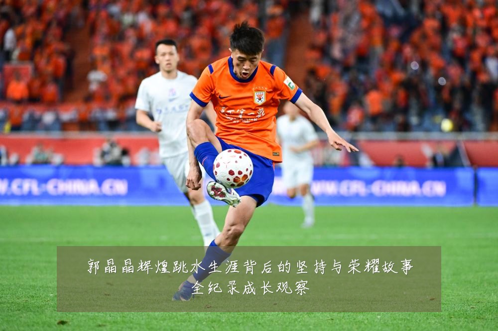 郭晶晶辉煌跳水生涯背后的坚持与荣耀故事全纪录成长观察