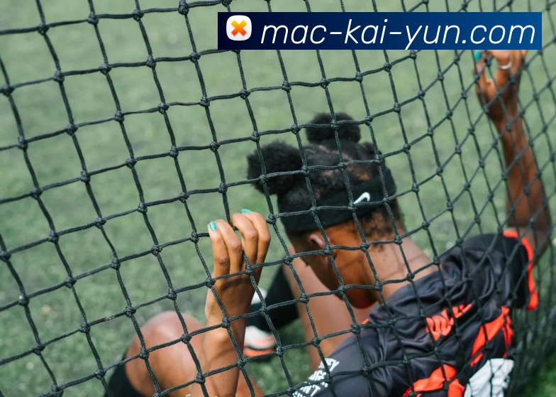 开云平台展示图