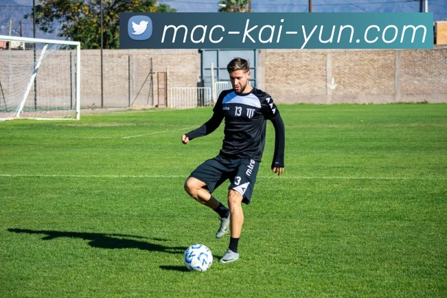 开云官网全站App